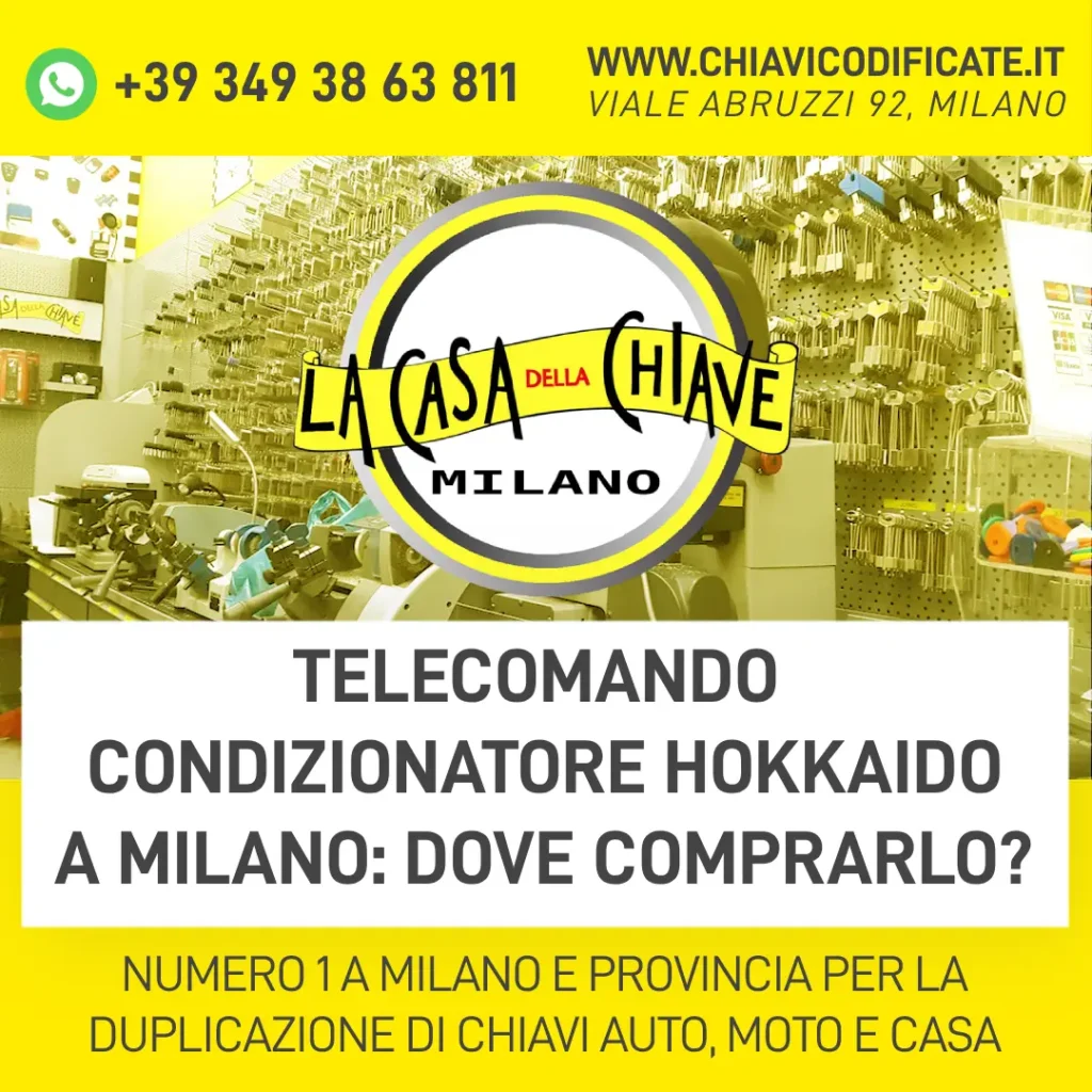 Telecomando condizionatore Hokkaido a Milano dove comprarlo